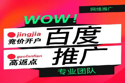 百度广告推广费用案例分析：效果与投入的平衡
